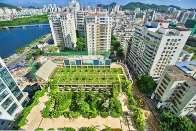 黄金广场